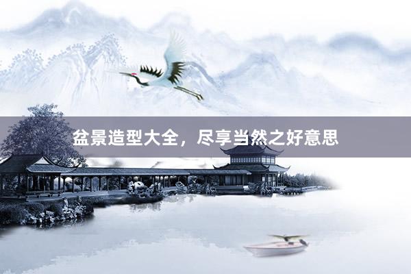 盆景造型大全，尽享当然之好意思